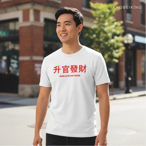 Boss Give Pay Raise Graphic T-Shirt | Singapore Humor Streetwear Unisex Tee