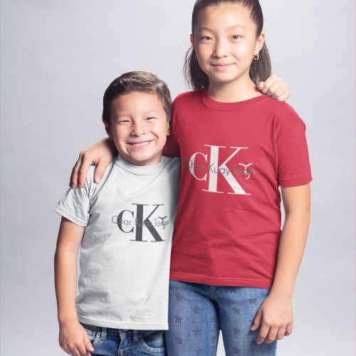 asian-kids-wearing-tshirts-mockup-hugging-at-a-photo-studio.jpg