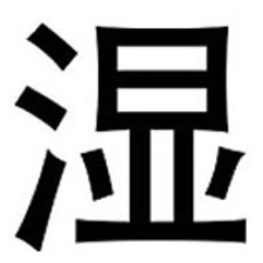 Singapore 3 - Wet Tee Shirt